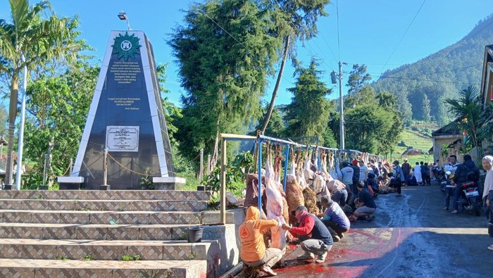 Dusun Krajan Dipenuhi Aktivitas Penyembelihan, Warga Sambut Kurban Melimpah dengan Semangat Gotong Royong