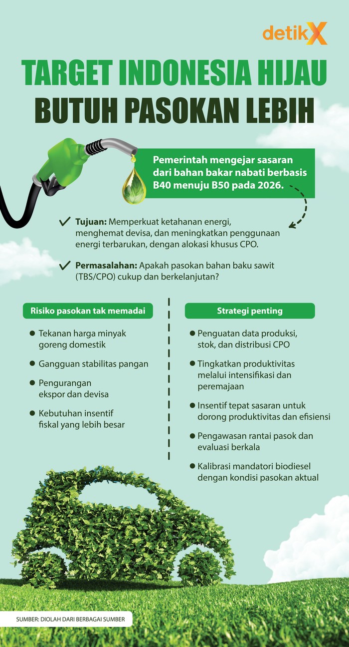 Kebutuhan Biodiesel Naik, Pasokan Sawit Dinilai Jadi Kunci Ketahanan Energi Nasional
