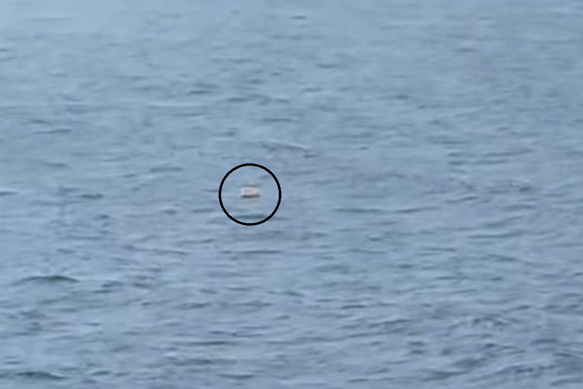 Objek Misterius Terlihat Mengambang di Selat Sunda, Pencarian Speedboat Jurnalis Diperluas
