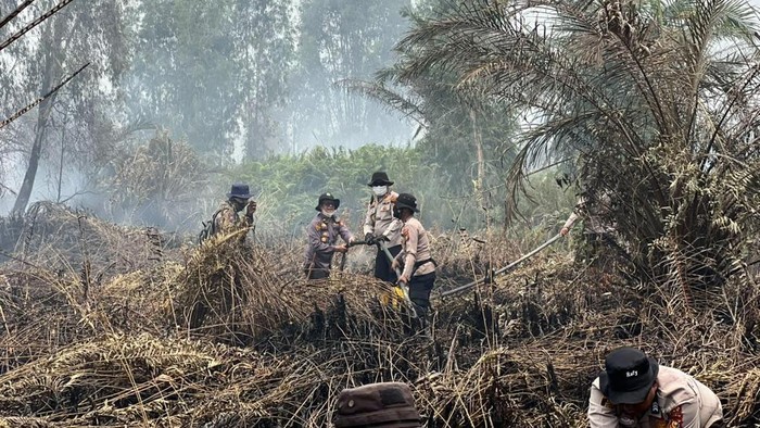 Niat Usir Tawon Berujung Karhutla, Pria di Riau Diamankan Polisi